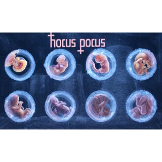 Hocus Pocus, 1991